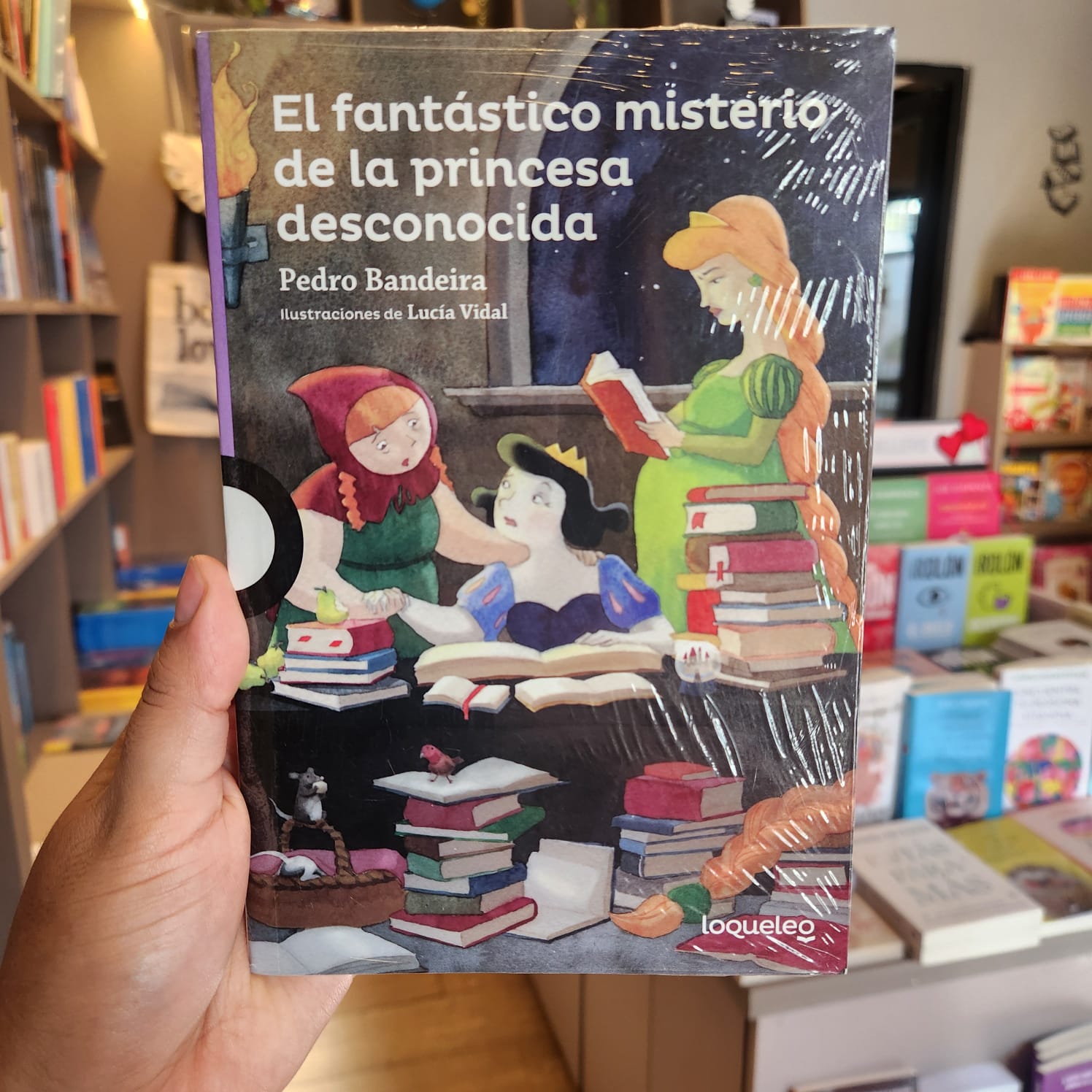 FANTASTICO MISTERIO DE LA PRINCESA EL 1 FANTASTICO MISTERIO DE LA PRINCESA EL