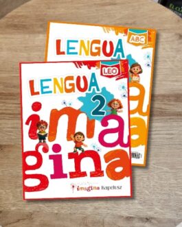 Home 41 IMAGINA LENGUA 2