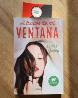 A TRAVES DE MI VENTANA